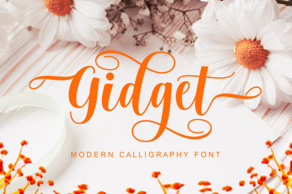 Gidget Font: A Web Designer’s Review of Elegance in Digital Design