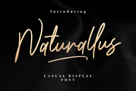 Naturallus: A Handwritten Font for Modern Web Design