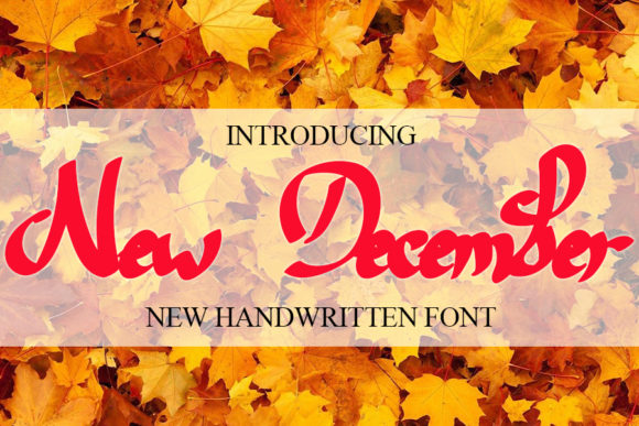 New December: A Magical Script Font for Web Design